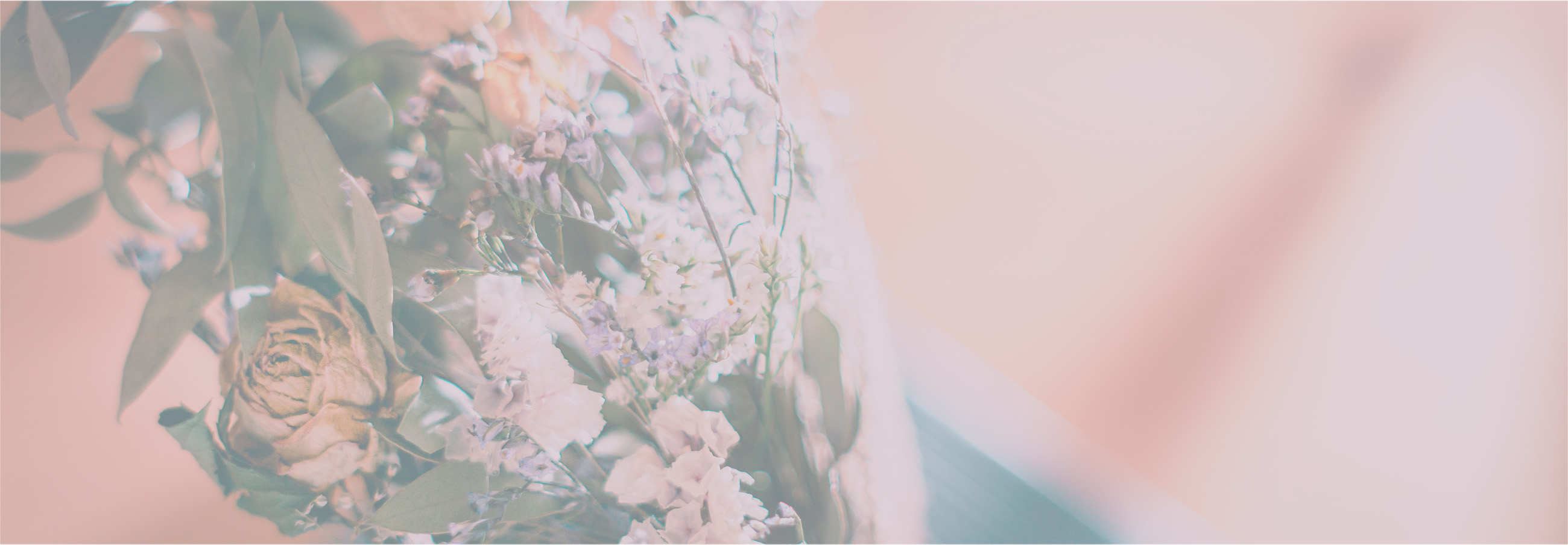 R-vel[レーベル]グループ