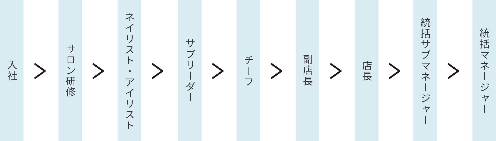 ランクアップシステム一覧 入社 サロン研修 ネイリスト・アイリスト サブリーダー チーフ 副店長 店長 統括サブマネージャー 統括マネージャー